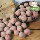 삼촌유통 이미지