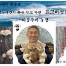 해풍추이농장 네이버블로그