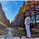 [251115-8. 토.]-[경상북도산림환경연구원에서-금투]-[00] 이미지