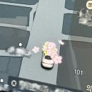 파랑새 | 경남 창원 2026 진해군항제🌸파랑새투어 당일치기 솔직후기