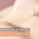 e-쁘지오 이미지