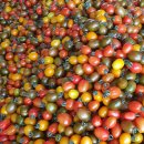 부자 농장 이미지