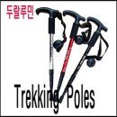 Trekking pole 두랄루민 6061 - T 그립으로 지면과 수직을 이루어 일반 보행히에도 활용 가능한 제품 이미지