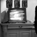 참여(Participation) 이미지