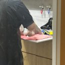 함께냥 본점 | 20분 만에 끝나는 스트레스 없는 고양이 미용, 함께냥 후기