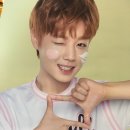 롯데마트이니스프리