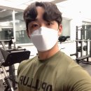 디풀업