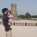 첨성대동물병원 이미지