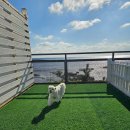 호수공원 제4화장실(매점) 이미지