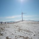 충일목장 네이버블로그