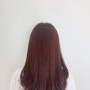 더부띠끄합정점