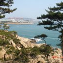 제232차(5,18) 울산의 대왕암두레길, 경주파도소리길 이미지
