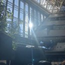 라이브하이 이미지