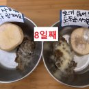 8주-나는 📢sound다 이미지