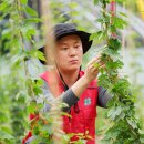 이주건축디자인(주) 이미지