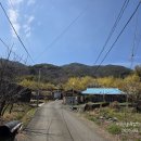 계척지 Daum카페