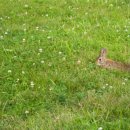 [2급과정] 독서지도사 2급 이미지