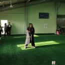 사정마을게이트볼장 | 대구 근교 가볼만한곳 영주 한밤실마을 여행 후기