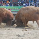 민속한우 판매장 이미지