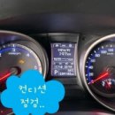 포니카센타 이미지