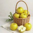 충북원예농협 이미지