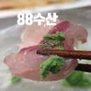 (주)부산수산 | 부산 명지횟집 88수산 후기 도다리 밀치 활어회 포장 맛집 추천 주차장 안내