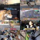 럭키농장 이미지