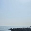 오션테라 이미지