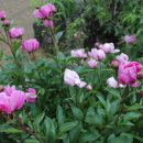 샘밭 농장 이미지