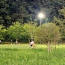 송백자전거도로 이미지