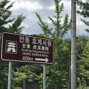 서원35호 Daum카페