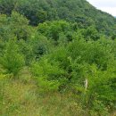 큰골짜기농장 이미지