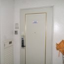 사하구-74 이미지