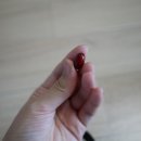(주)온누리에이치엔씨 이미지