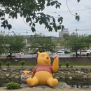 새나라폰 | [대전] 청주 근교 대전 당일치기 코스(별난집, 소제동 카페거리, 곰돌이푸 팝업스토어, 카페 소제솔루나...