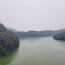 물고기태양광발전소 이미지