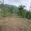 예삐농원 이미지