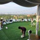 러브애견미용 이미지