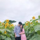 번영목장 이미지