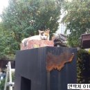 영해약국 이미지