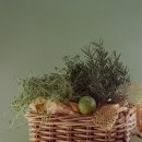 향기심리코칭 이미지