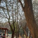 산정공원로 이미지