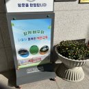 목포백련초등학교 이미지