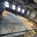 진주익룡발자국전시관 이미지