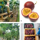 까치골농장 이미지