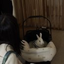 느루요가 - 서구 구봉산북로280번길 24-22 | 느루요가