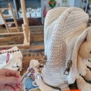 리프패럿 이미지