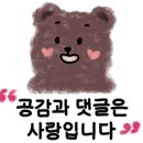 웃뜨르 협재 312 이미지