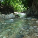 새이모퉁이 이미지