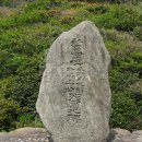 모마리 이미지
